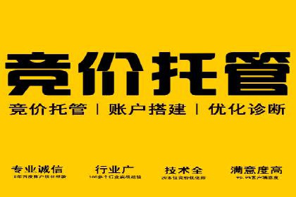 百度推广技巧：实战案例分析